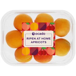 Plums & Apricots