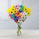 Chrysanthemums