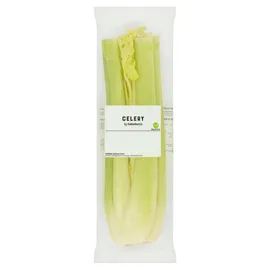 Celery & Fennel