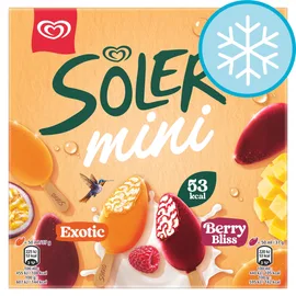 Ice Cream Mini's & Bites