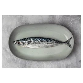 Mackerel, Sardines & Herring