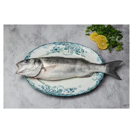 Seabass & Seabream