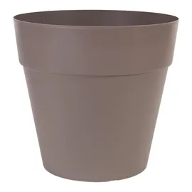 Plant Seeds, Planting & Tools