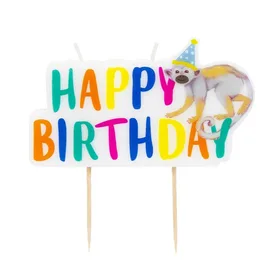 Candles & Cake Decorations