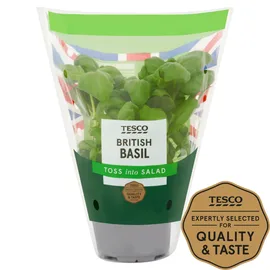 Fresh Herbs