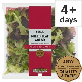 Salad Bags