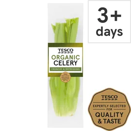 Celery & Fennel