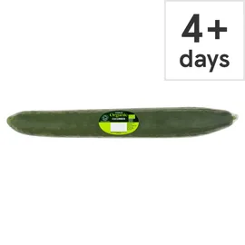 Cucumber