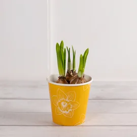 Seasonal Flowers