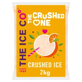 Broth, Soup & Ice Cubes