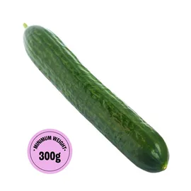 Cucumber