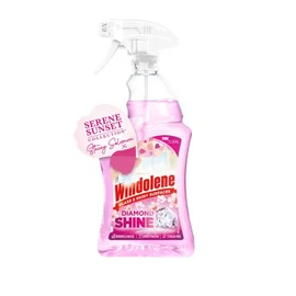 Window & Glass Cleaner