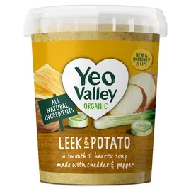 Vegetable Soup