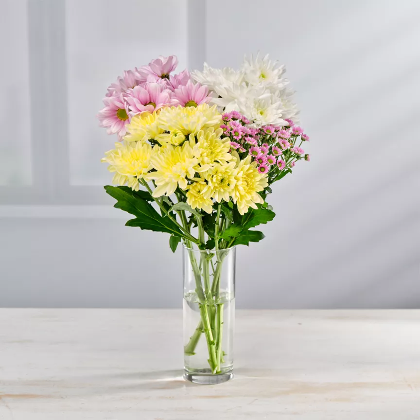 ASDA Mixed Chrysanthemums