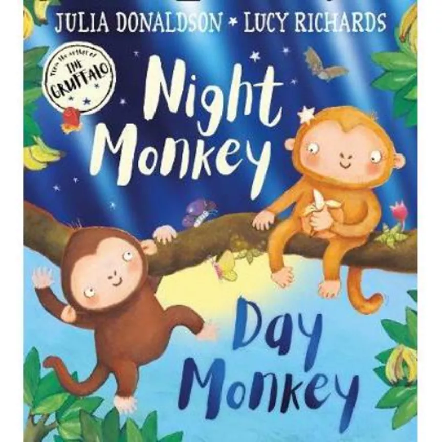 Paperback Night Monkey, Day Monkey by Julia Donaldson