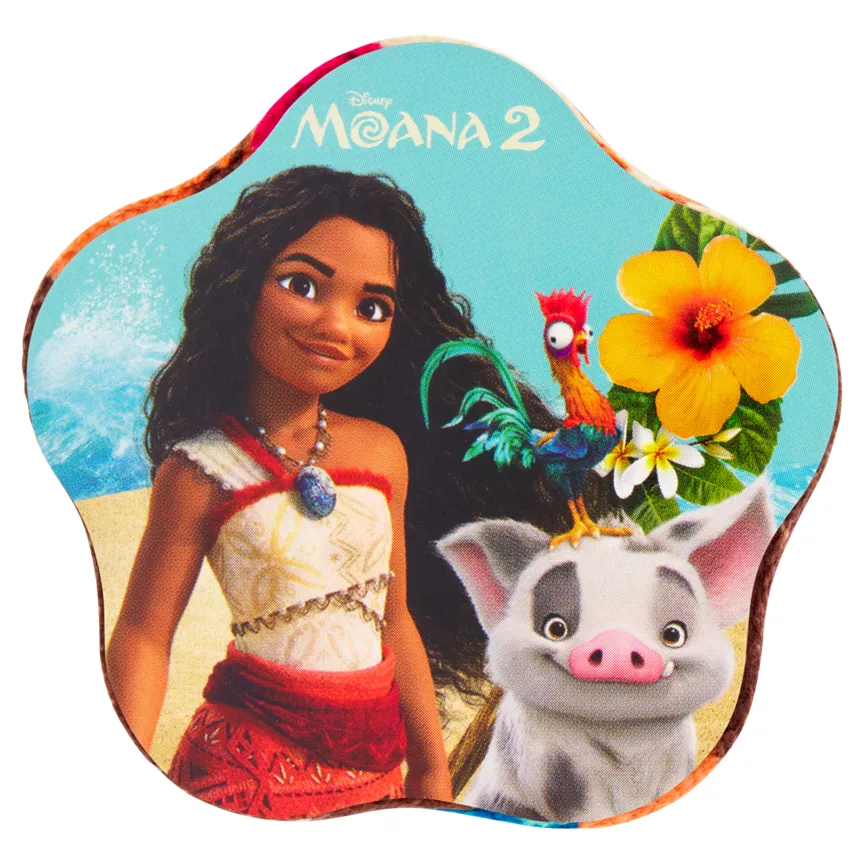 Disney Princess Magic Facecloth