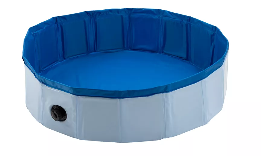 Kid Connection Dog Pool