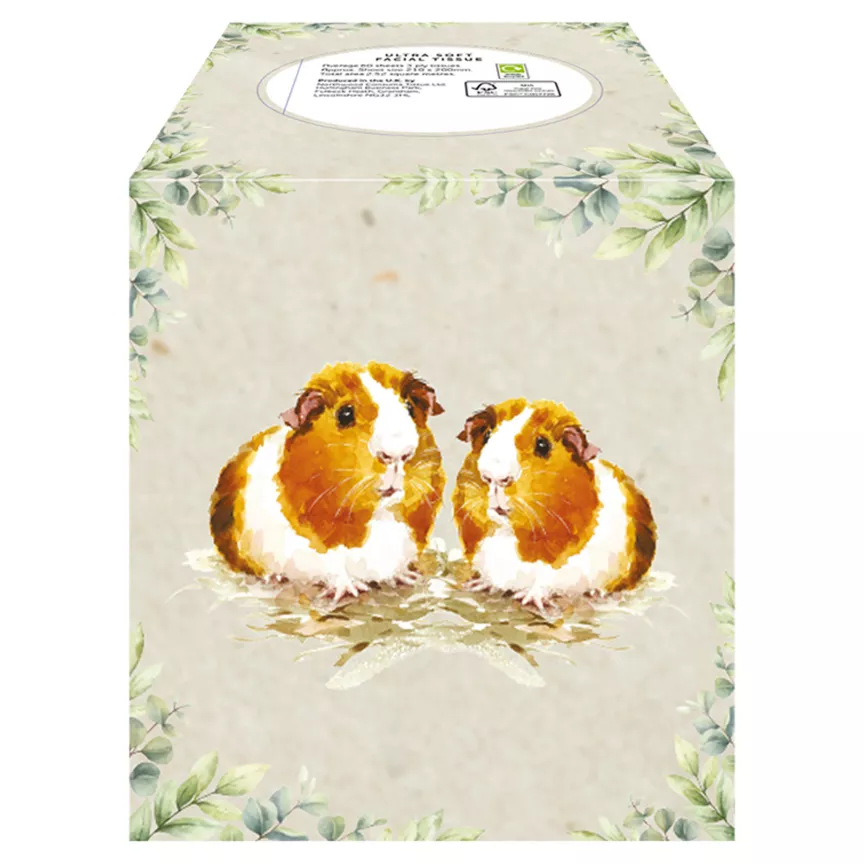 Ultra Soft Facial Tissue (Style May Vary)