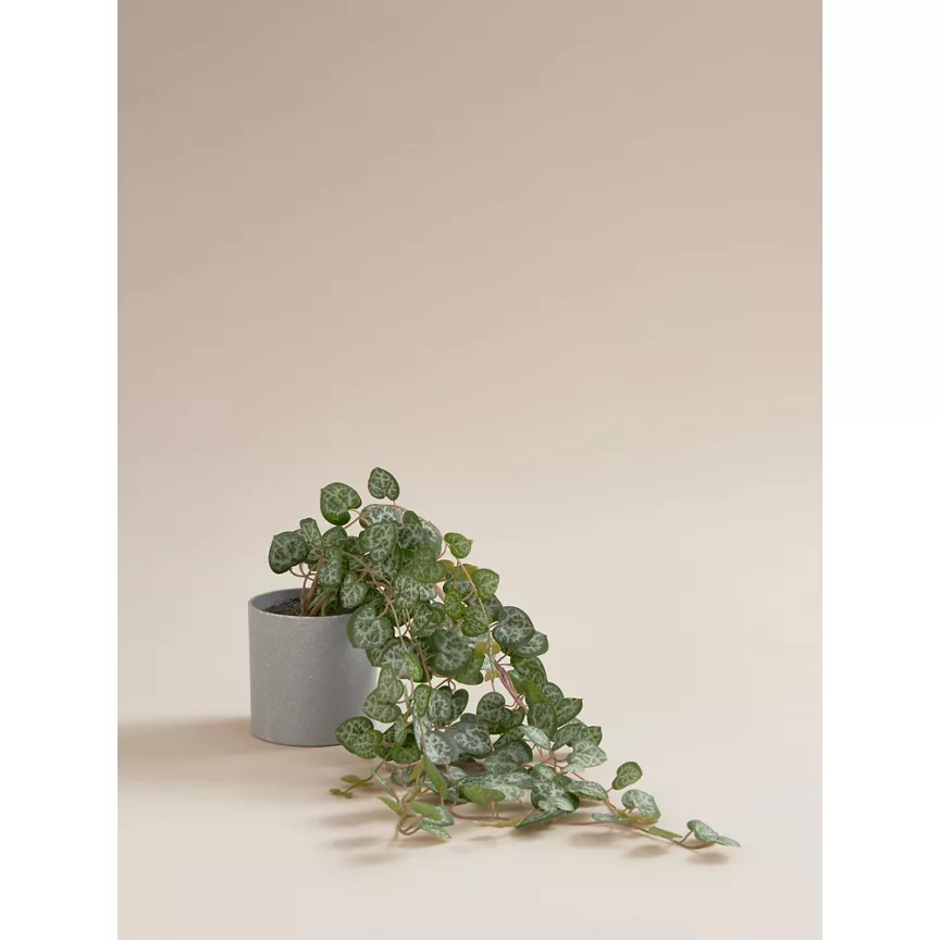 George Home Hanging Artificial Ceropegia In Grey Plant Pot 50cm