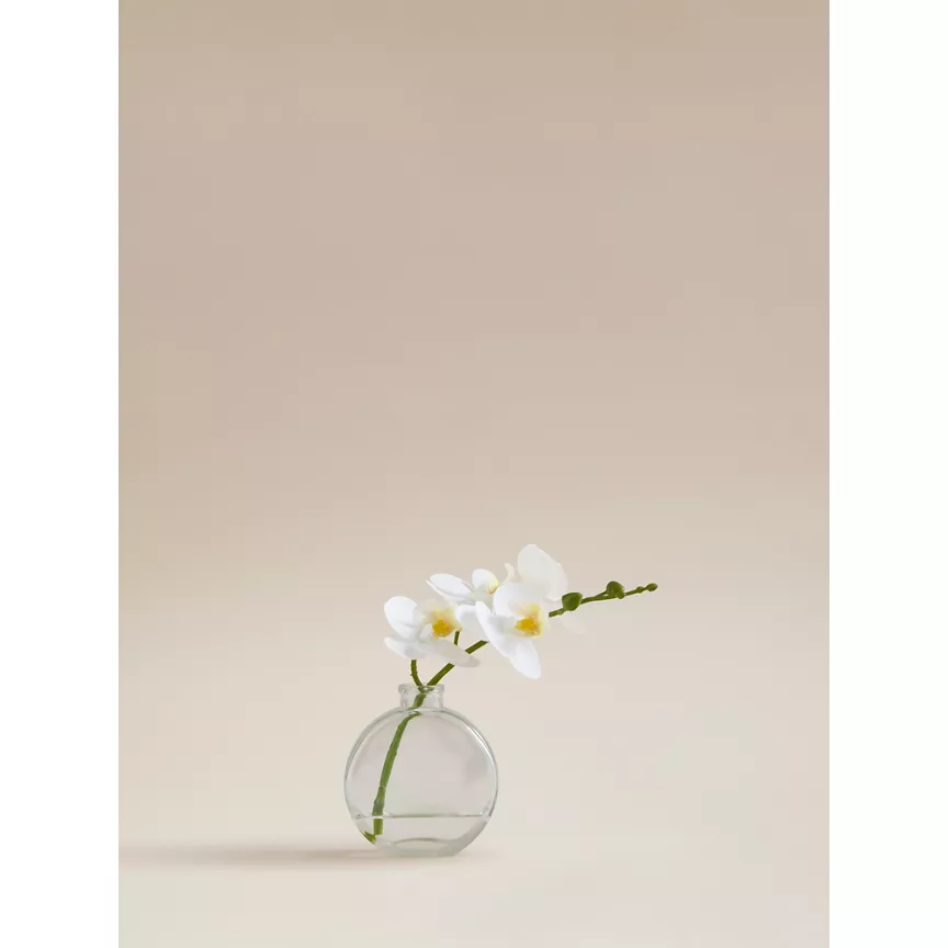 George Home White Artificial Orchid In Glass Vase