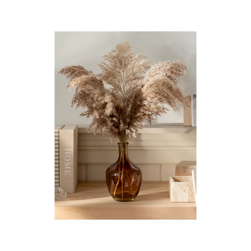 At Home with Stacey Solomon Brown Pampas Grass & Vase