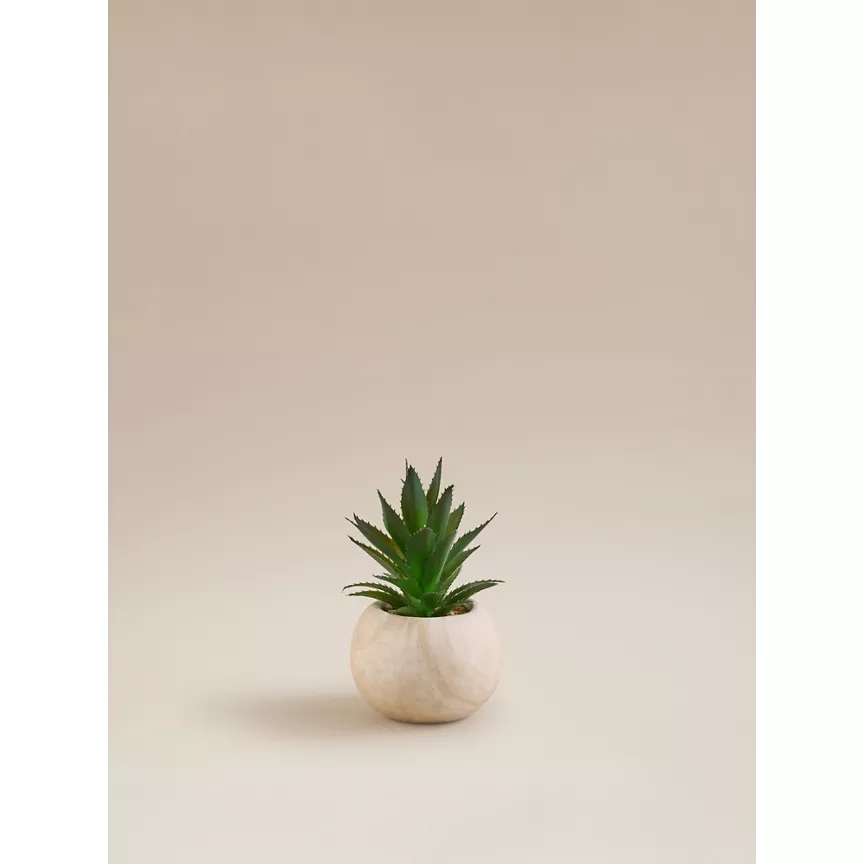 George Home Natural Artificial Succulent In Travertine Pot