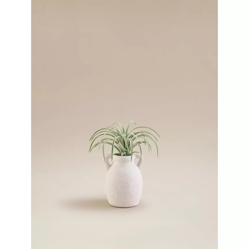 George Home Cream Artificial Plant In Ceramic Pot