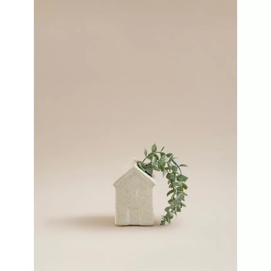 George Home Cream Mini House Artificial Trailing Succulent