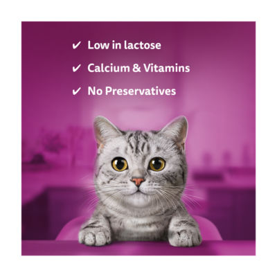 Kitten Cat Milk Bottle&nbsp;3 x 200ml thumbnail 3