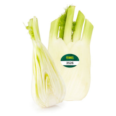 Fennel thumbnail 3