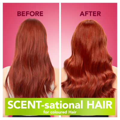 IGNITE MY COLOUR Hydrating Shampoo | Rose Extract |For Coloured Hair|400ml thumbnail 3