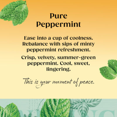Pure Peppermint 80 Tea Bags 160g thumbnail 4