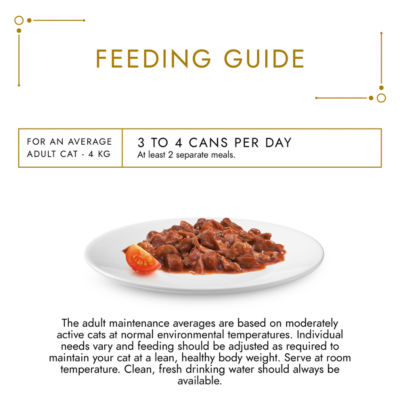 Gold Casserole in Gravy Duck and Turkey Wet Cat Food 85g thumbnail 4