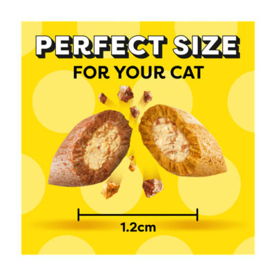 DREAMIES Cat Treat Biscuits With Chicken & Duck Flavour 60g thumbnail 4