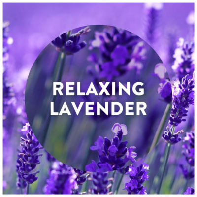 Plug in refill, Lavender Meadow & Bluebells Air freshener, 19ml thumbnail 4