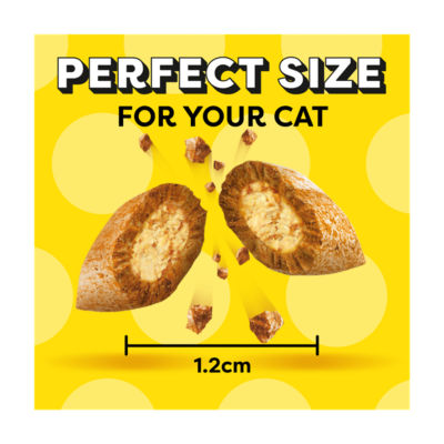 DREAMIES Cat Treat Biscuits With Turkey Flavour 60g thumbnail 4