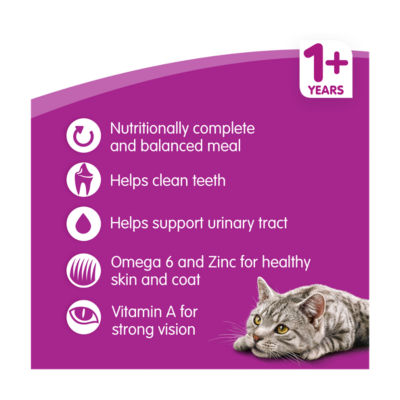 Adult Cat Complete Dry Cat Food Biscuits Lamb thumbnail 4