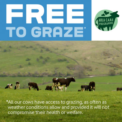 Arla  Filtered Fresh Whole Milk 2L Fresher for Longer thumbnail 3