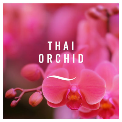 Fabric Freshener Spray Thai Orchid thumbnail 4