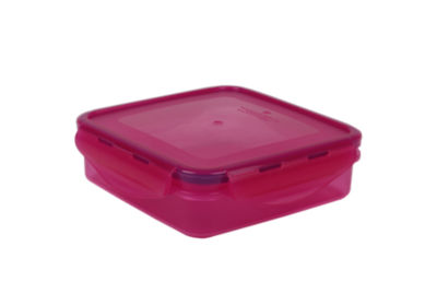 Sandwich Lunch Box thumbnail 4