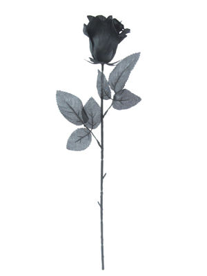 Halloween Black Single Rose