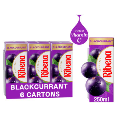 Blackcurrant Juice Drink Cartons 6x250ml thumbnail 2