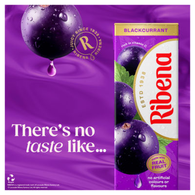Blackcurrant Juice Drink Cartons 6x250ml thumbnail 4