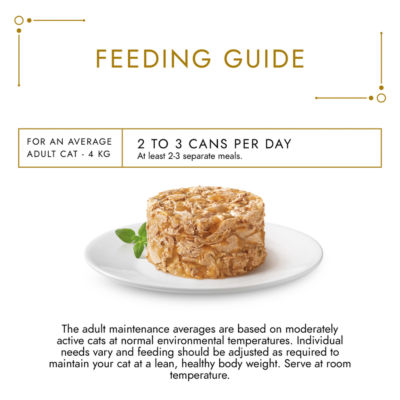 Gold Savoury Cake Chicken Wet Cat Food 85g thumbnail 4