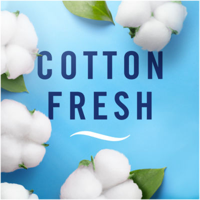 Car Air Freshener Cotton Twin Pack thumbnail 4