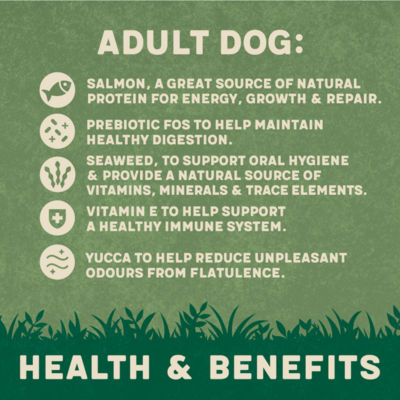 Rich in Salmon & Potato Dry Adult Dog Food 12kg thumbnail 3