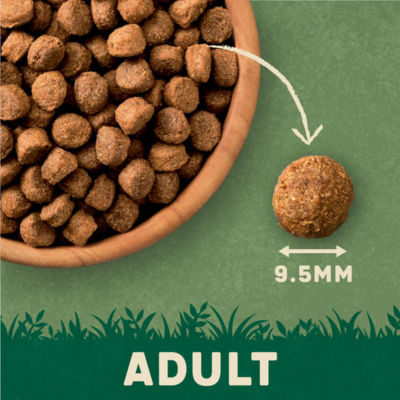 Rich in Salmon & Potato Dry Adult Dog Food 12kg thumbnail 4