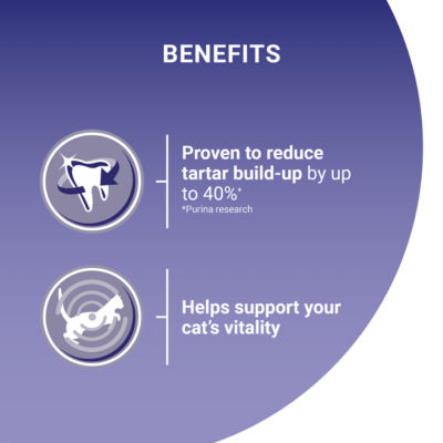 Chicken Dry Cat Food 6kg thumbnail 4