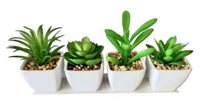 Mini Faux Succulent thumbnail 2