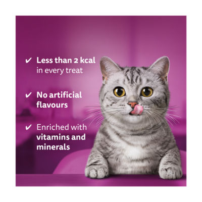 TEMPTATIONS™ Adult Cat Treats with Salmon flavour 180g thumbnail 3